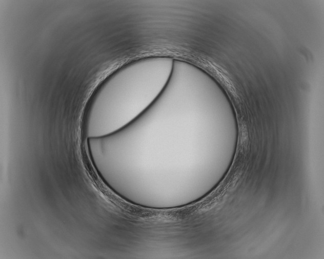 X0000112980578200908270920