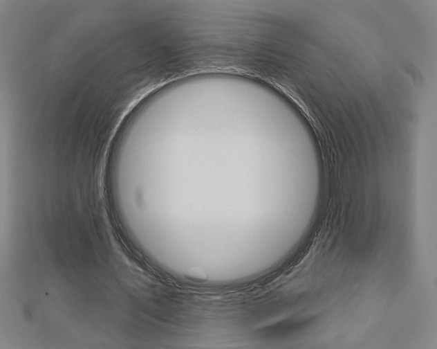 X0000112980579200908270920