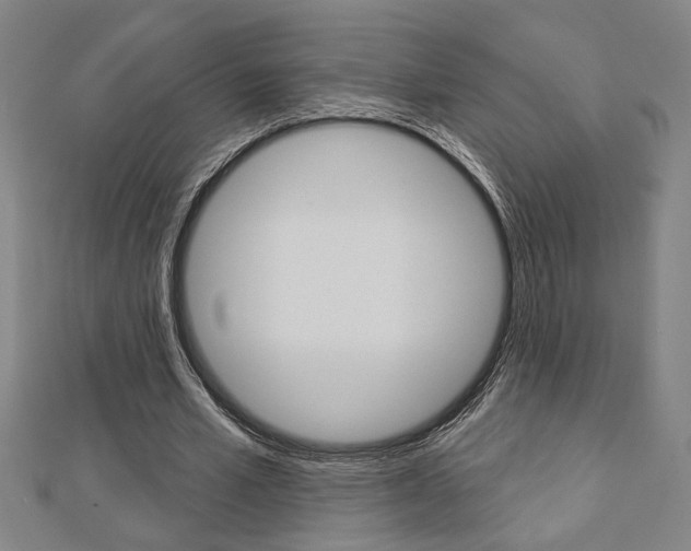 X0000112980581200908270920