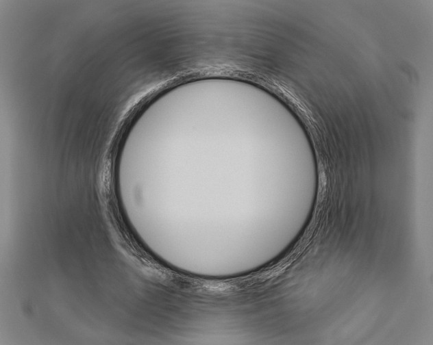X0000112980583200908270920