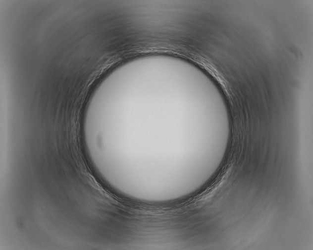 X0000112980585200908270920