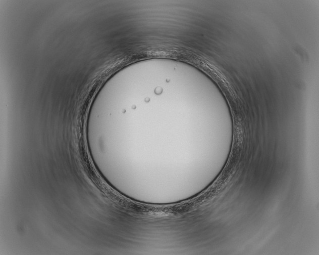 X0000112980586200908270920