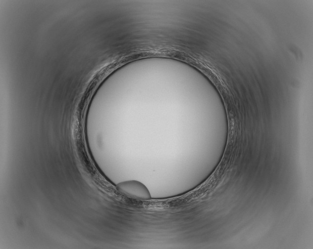 X0000112980587200908270920