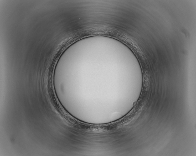 X0000112980590200908270920