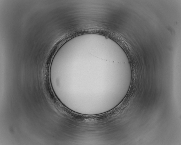 X0000112980591200908270920
