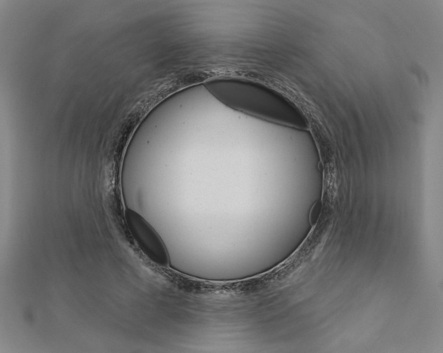 X0000112980593200908270920