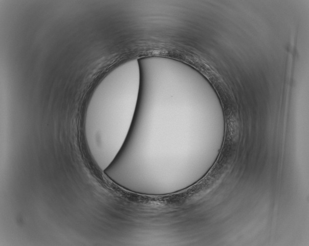 X0000112980594200908270920
