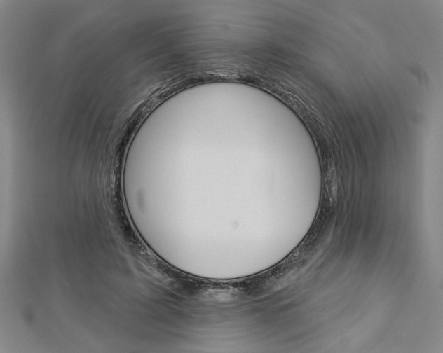 X0000112980595200908270920