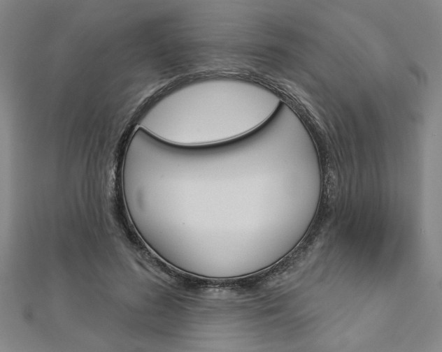 X0000112980596200908270920