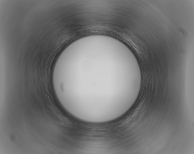 X0000112980597200908270920
