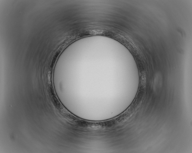 X0000112980598200908270920