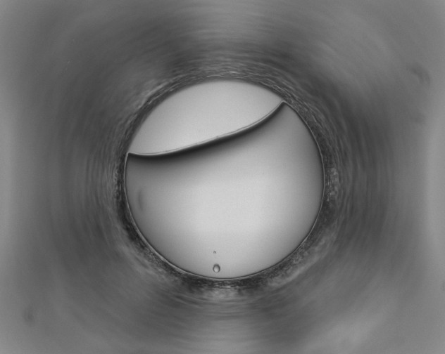 X0000112980600200908270920