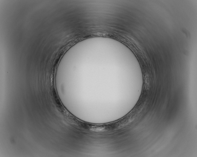 X0000112980602200908270920