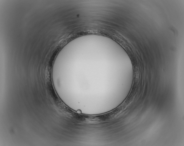 X0000112980603200908270920