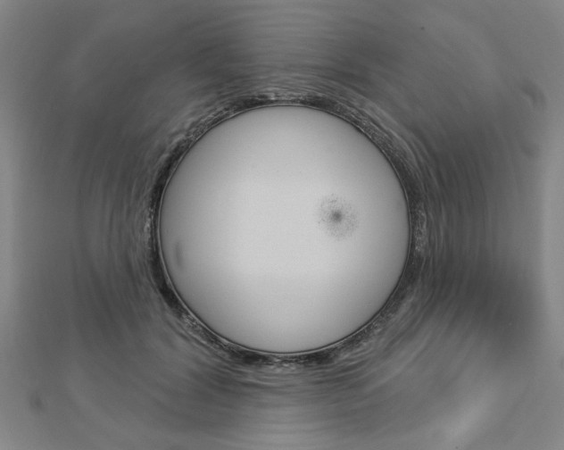 X0000112980604200908270920