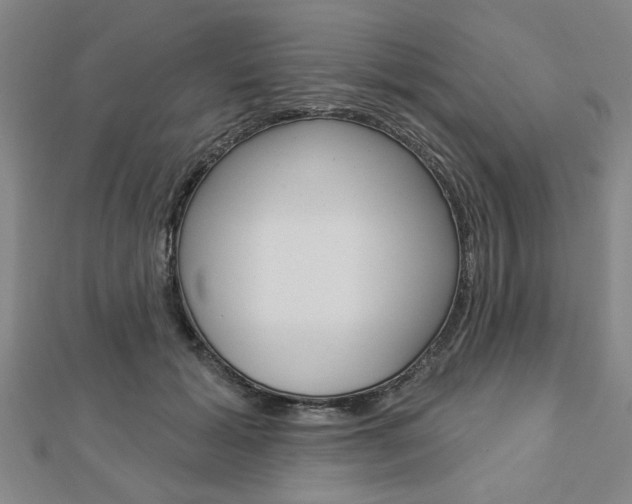 X0000112980605200908270920