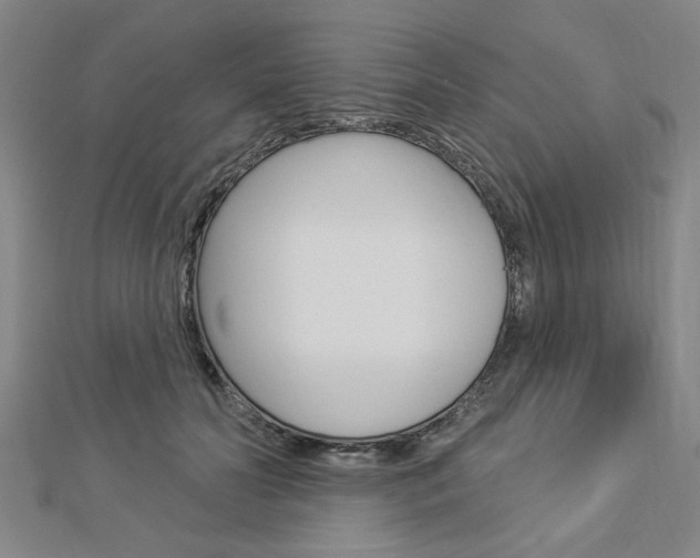 X0000112980606200908270920
