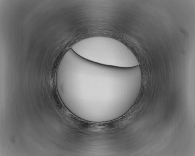 X0000112980607200908270920