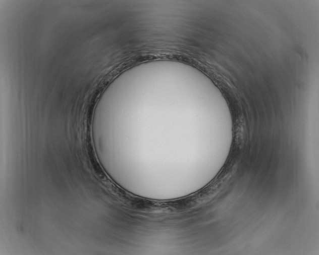 X0000112980608200908270920