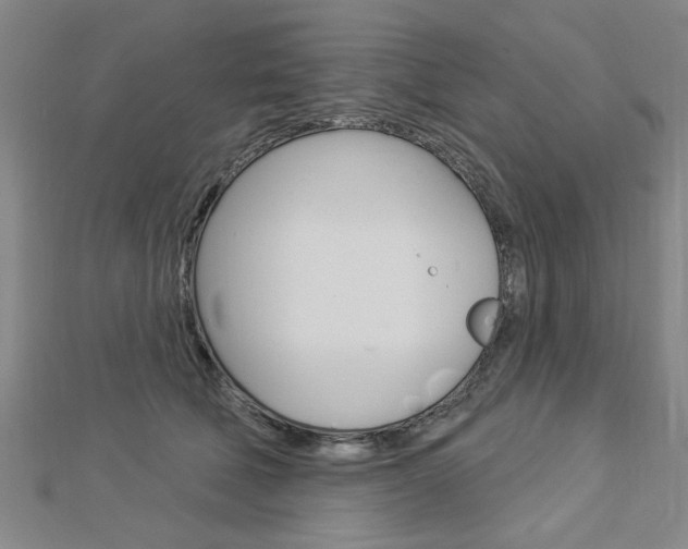 X0000112980610200908270920