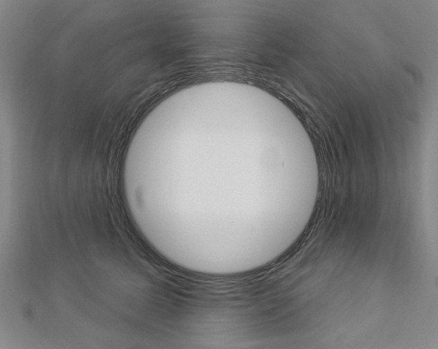 X0000112980611200908270920