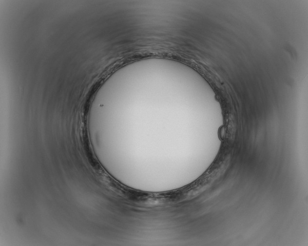 X0000112980612200908270920