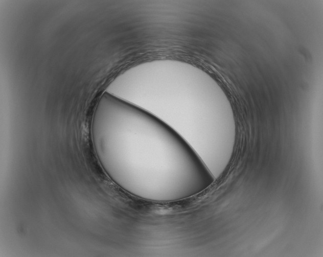 X0000112980613200908270920