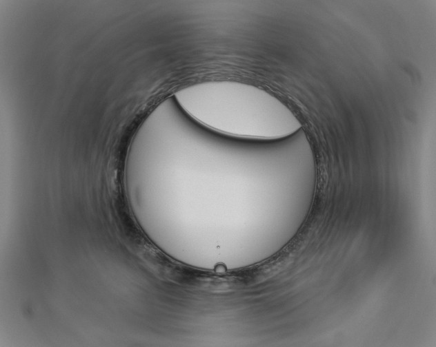 X0000112980615200908270920