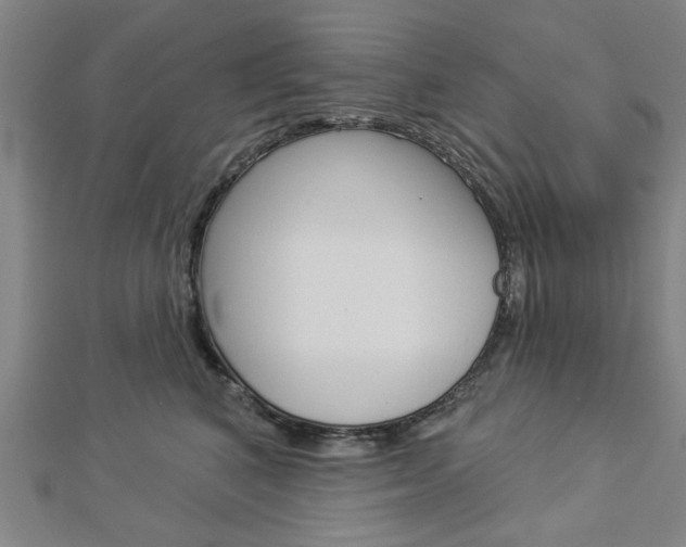 X0000112980616200908270920