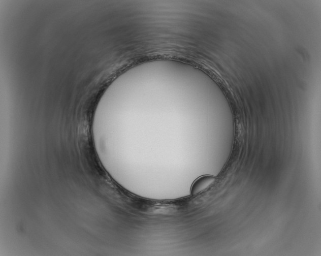 X0000112980617200908270920
