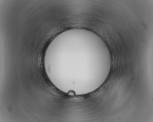 X0000112980619200908270920