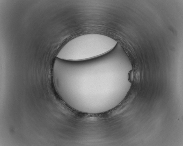 X0000112980620200908270920