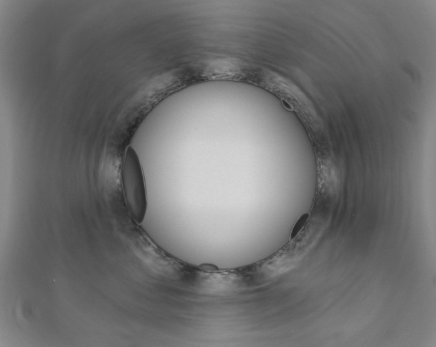 X0000112980621200908270920