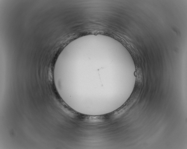 X0000112980622200908270920