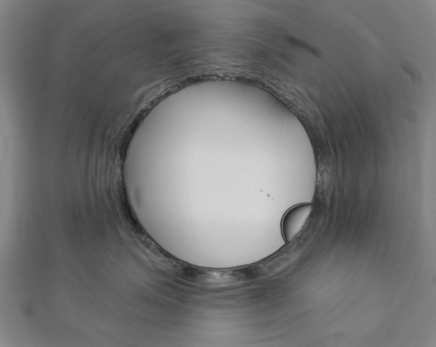 X0000112980623200908270920