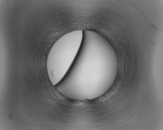 X0000112980624200908270920