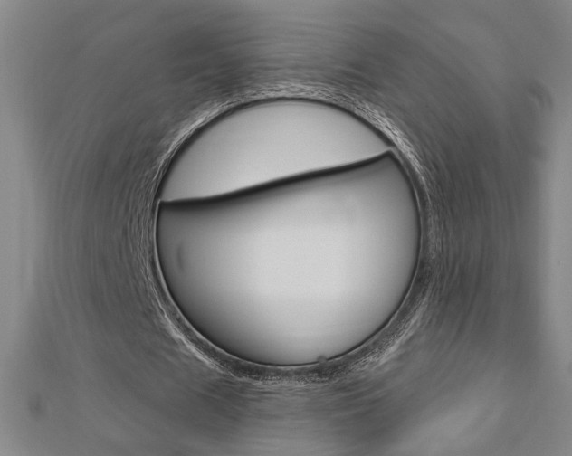 X0000112980625200908270919