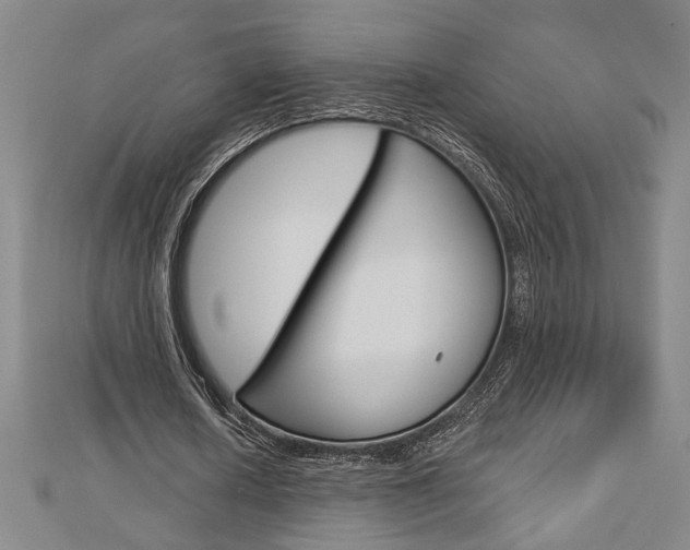 X0000112980626200908270919