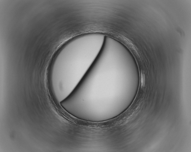 X0000112980627200908270919
