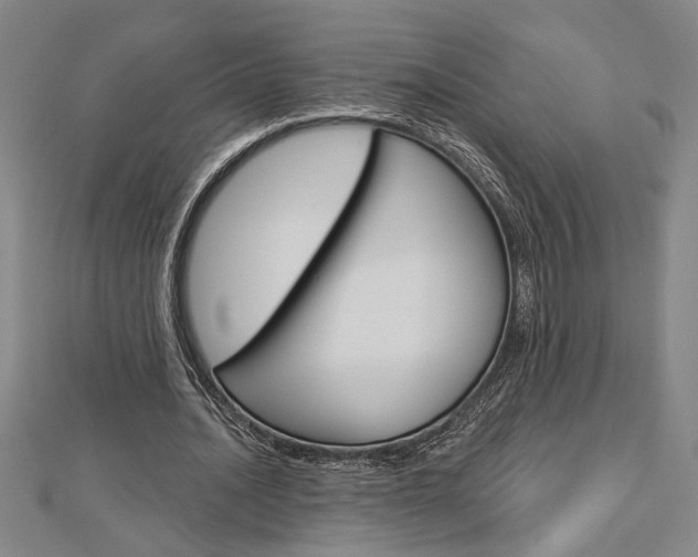 X0000112980628200908270919