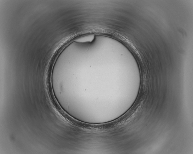 X0000112980629200908270919