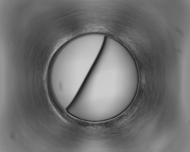 X0000112980630200908270919
