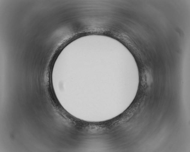 X0000112980632200908270919