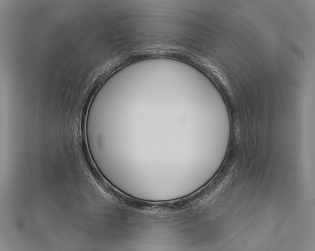 X0000112980633200908270919
