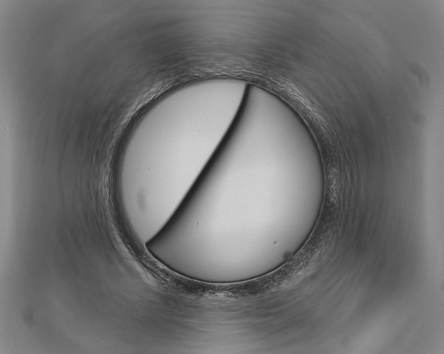 X0000112980634200908270919