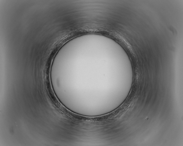 X0000112980635200908270919