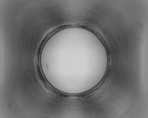 X0000112980636200908270919