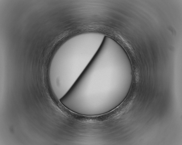 X0000112980637200908270919