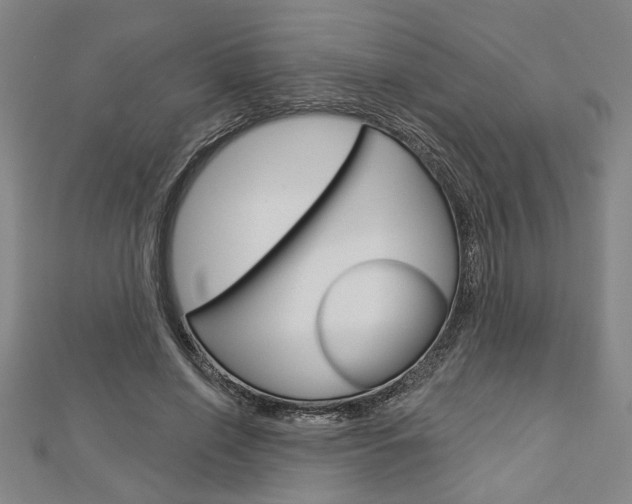X0000112980638200908270919