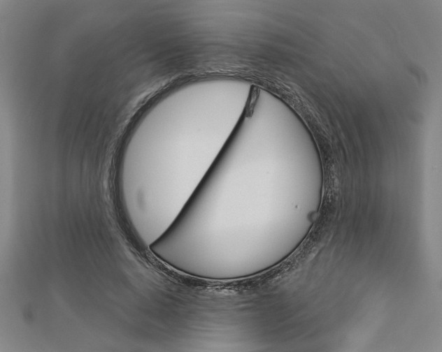 X0000112980640200908270919